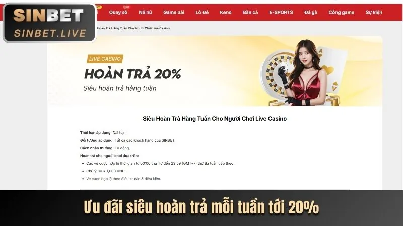 Hoàn trả cược thua tân thủ fv99 chính thức